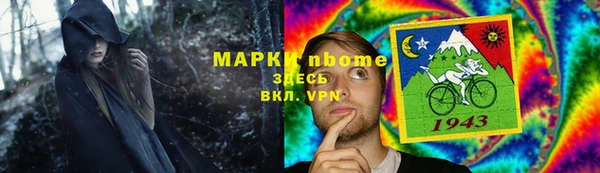 мдпв Новозыбков