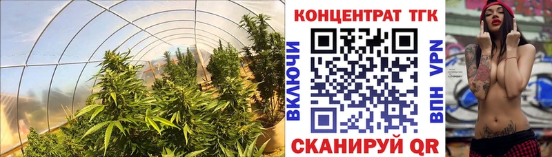 ТГК Wax  Макушино 